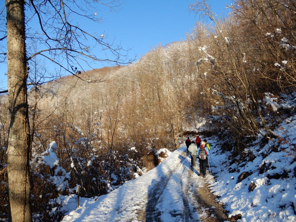 18. 12. 2017 - foto povečava