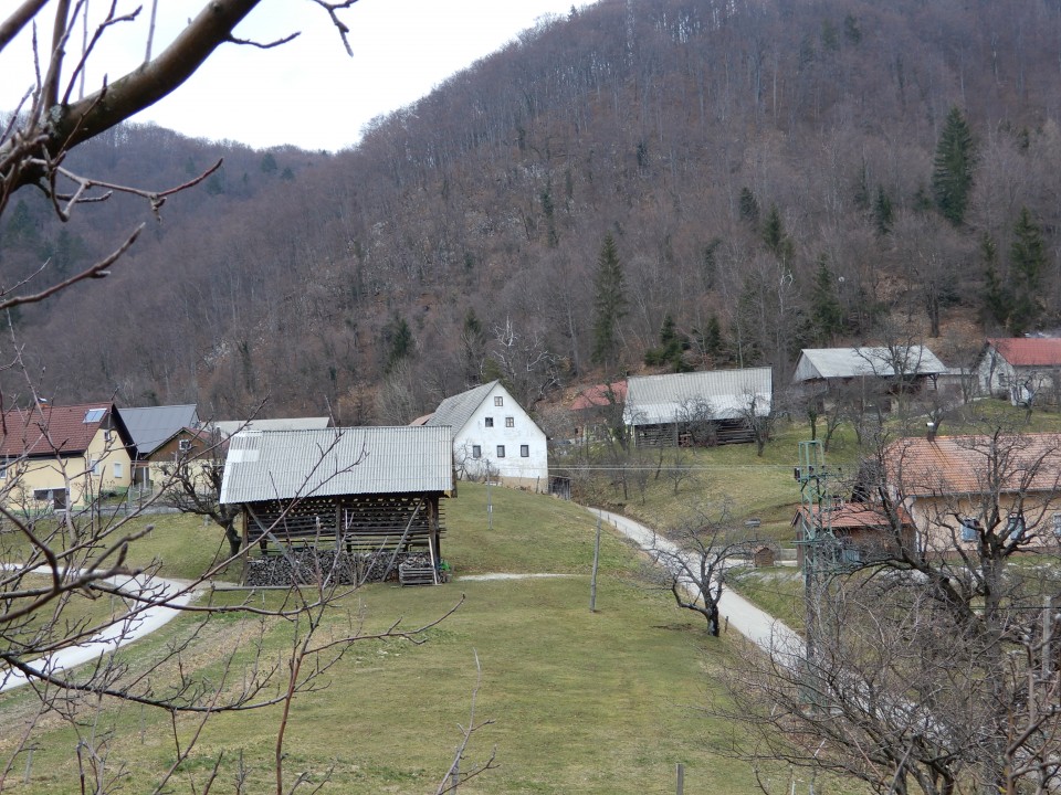 31. 1. 2018 - foto povečava