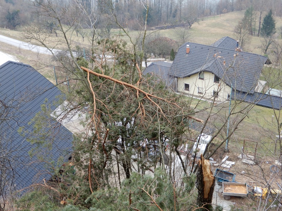 31. 1. 2018 - foto povečava