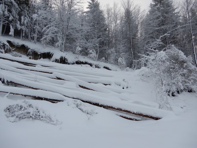 5. 2. 2018 - foto