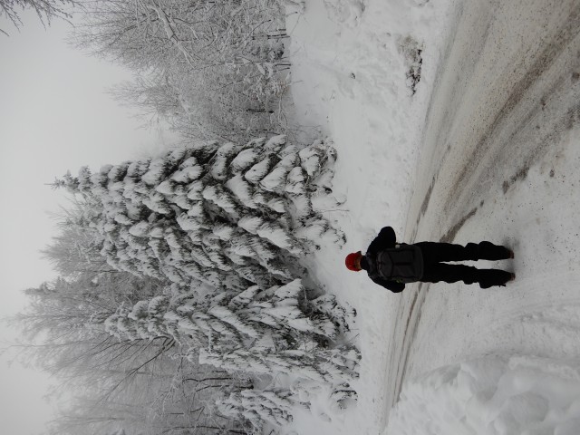 5. 2. 2018 - foto