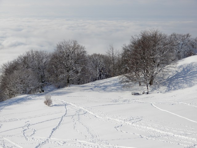 5. 2. 2018 - foto