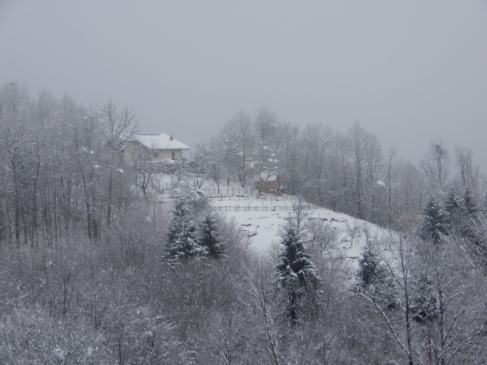 14. 2. 2018 - foto povečava