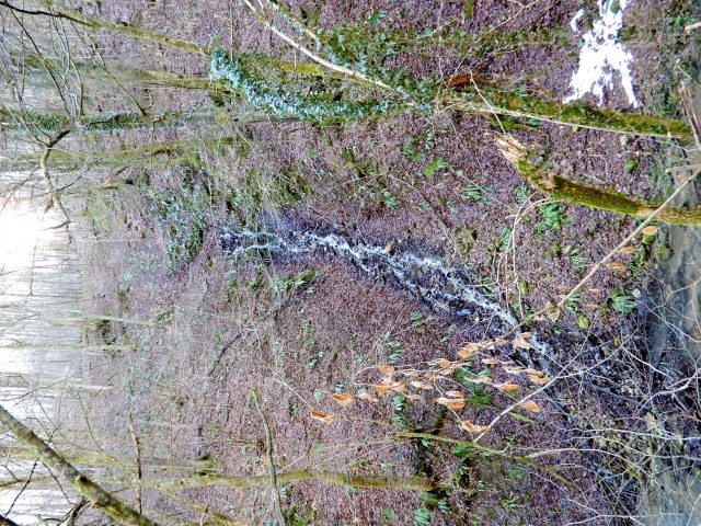 14. 3. 2018 - foto