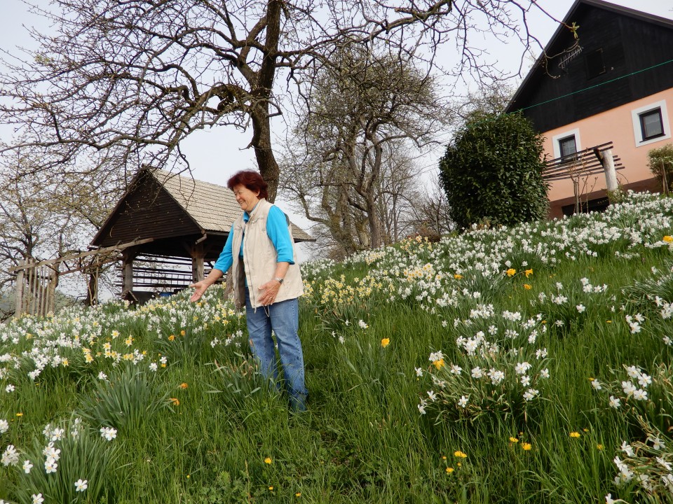 16. 4. 2018 - foto povečava