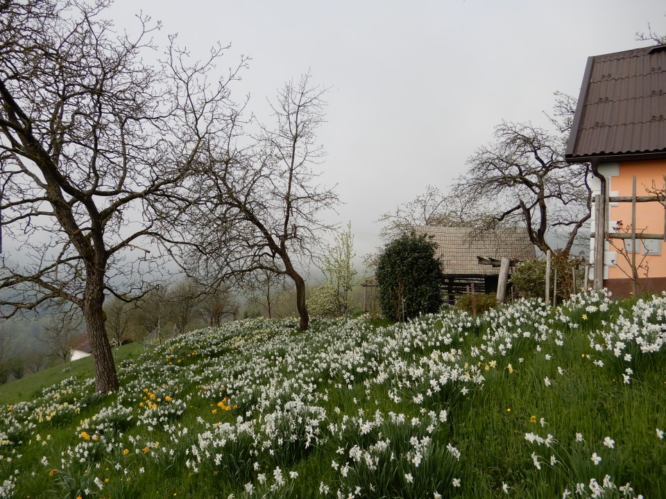 16. 4. 2018 - foto povečava