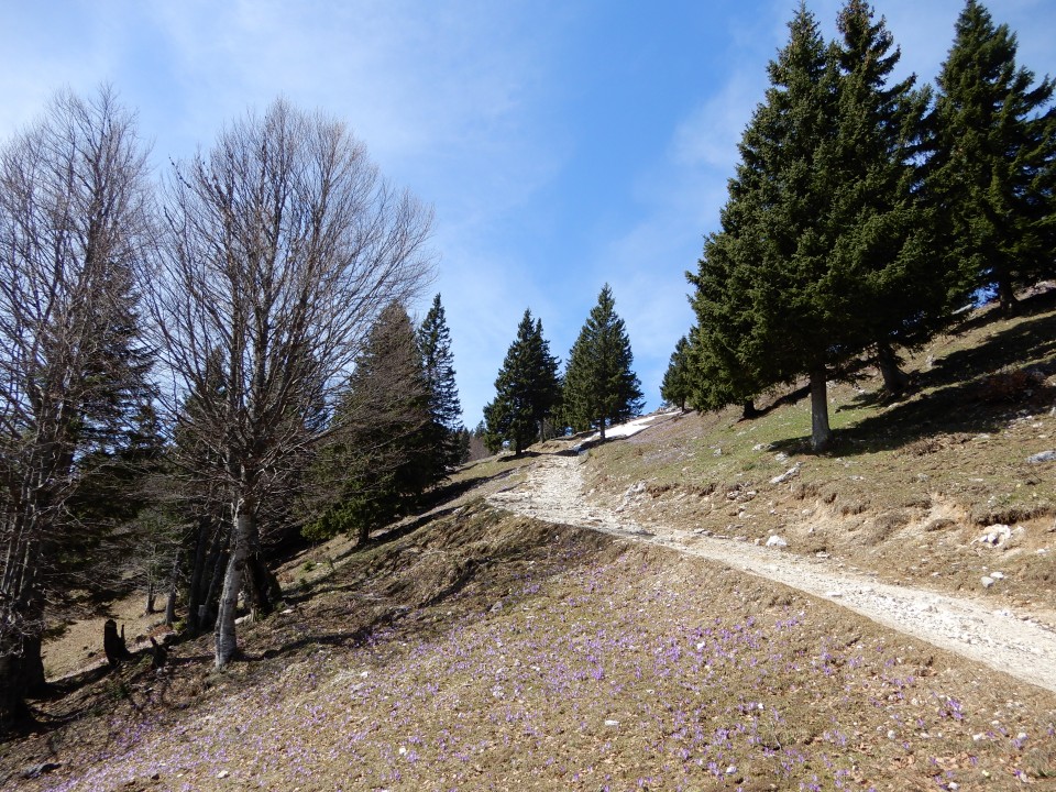 18. 4. 2018 - foto povečava