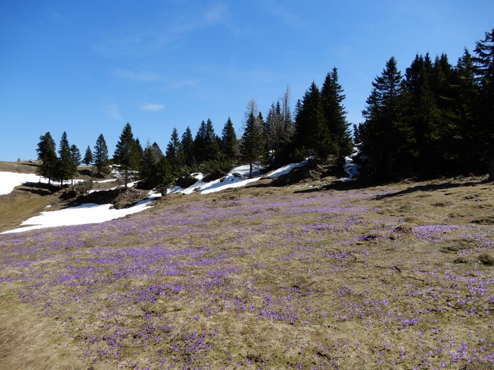 18. 4. 2018 - foto povečava