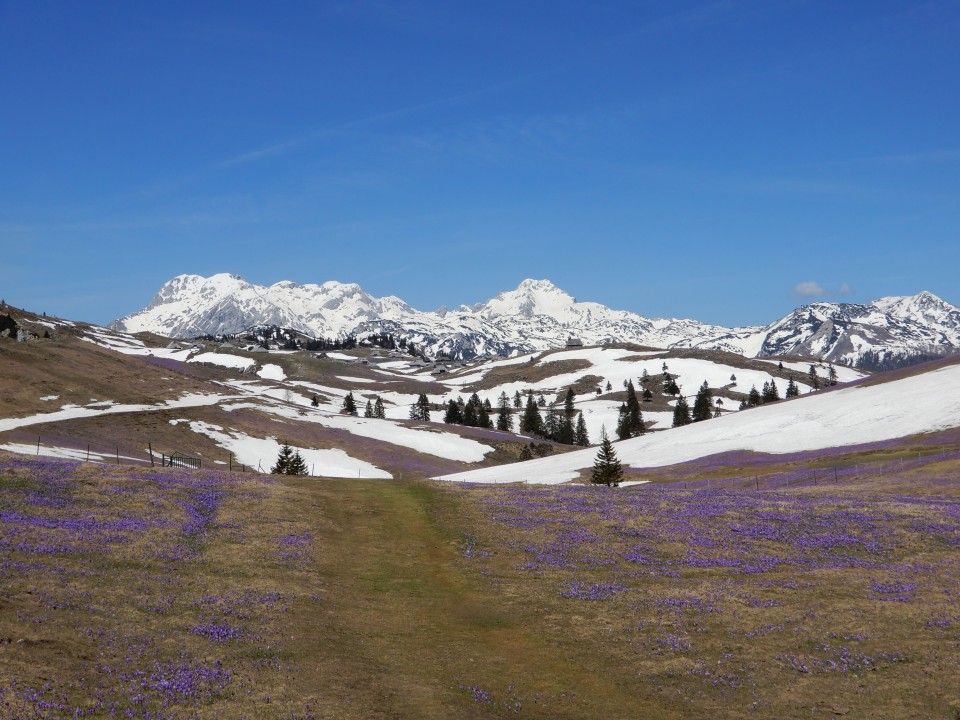 18. 4. 2018 - foto povečava