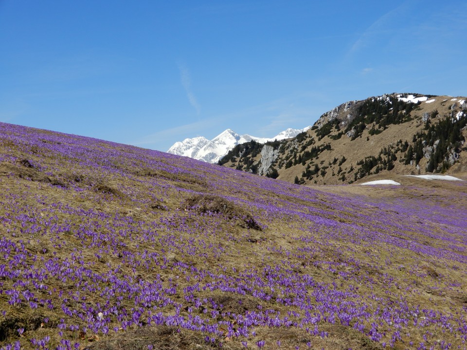 18. 4. 2018 - foto povečava