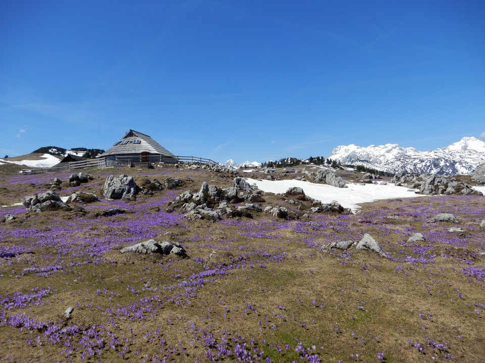 18. 4. 2018 - foto povečava