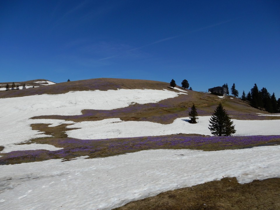 18. 4. 2018 - foto povečava