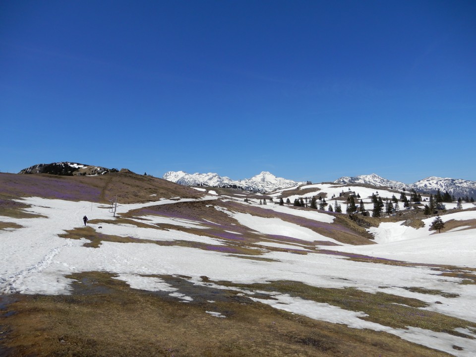 18. 4. 2018 - foto povečava