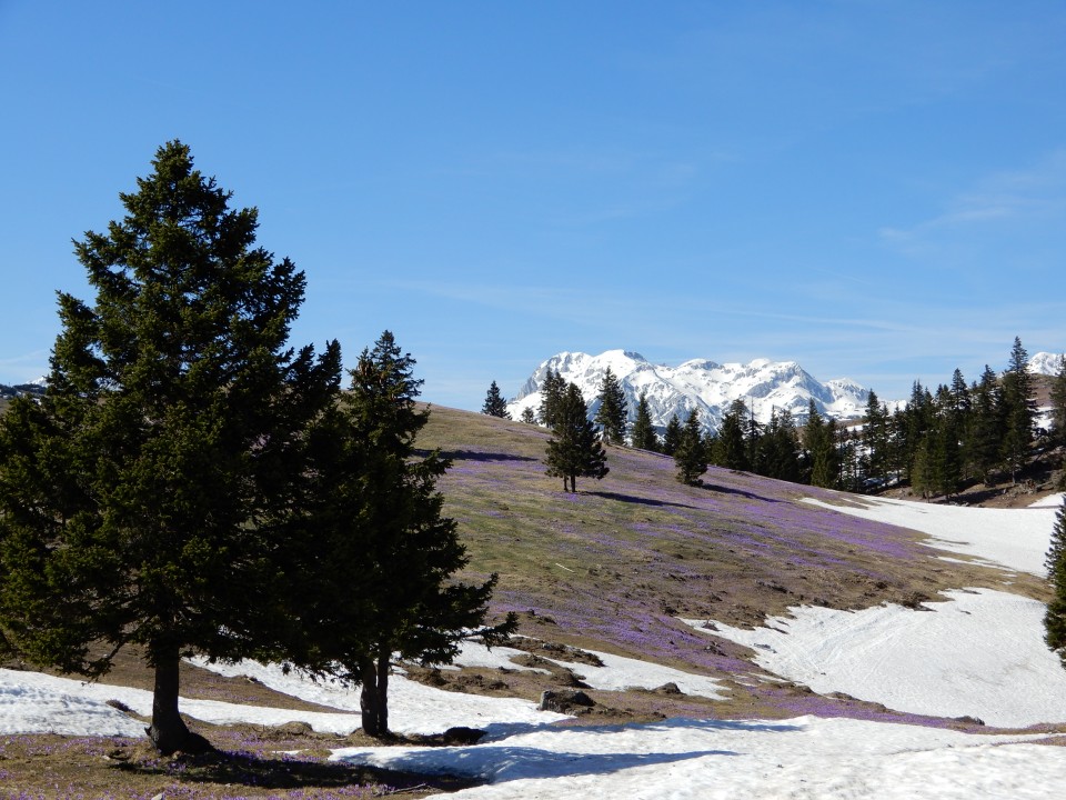 18. 4. 2018 - foto povečava