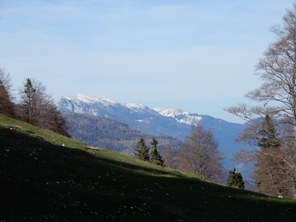 18. 4. 2018 - foto povečava