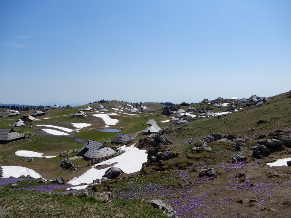 23. 4. 2018 - foto povečava