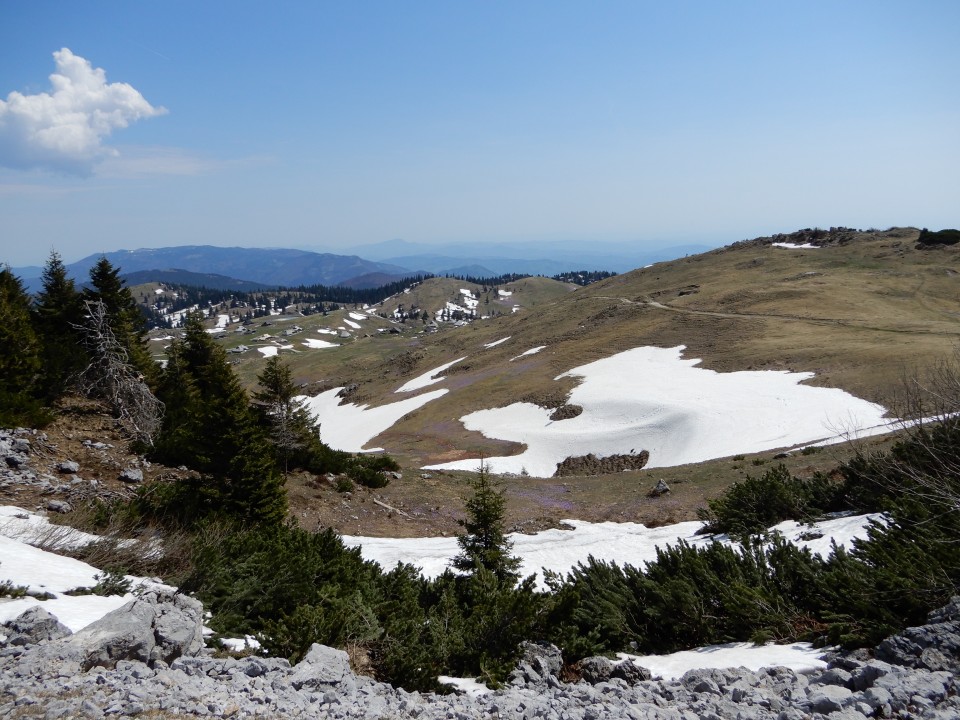 23. 4. 2018 - foto povečava