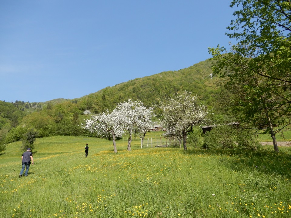 25. 4. 2018 - foto povečava