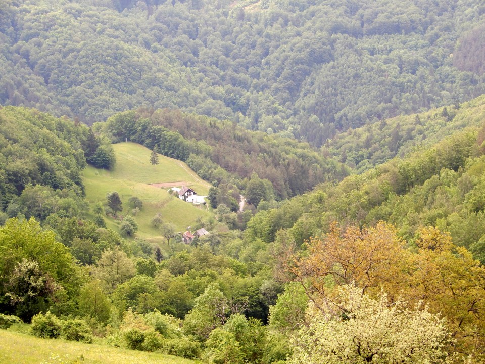 6. 5. 2018 - foto povečava