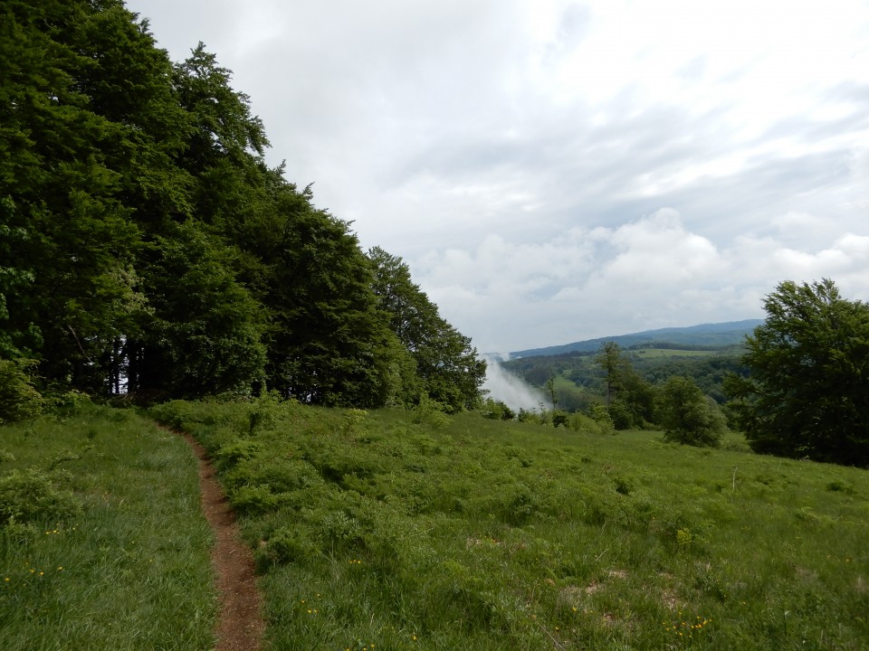 14. 5. 2018 - foto povečava