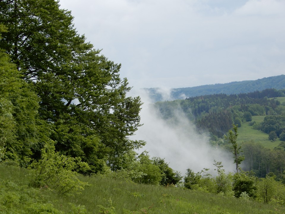 14. 5. 2018 - foto povečava