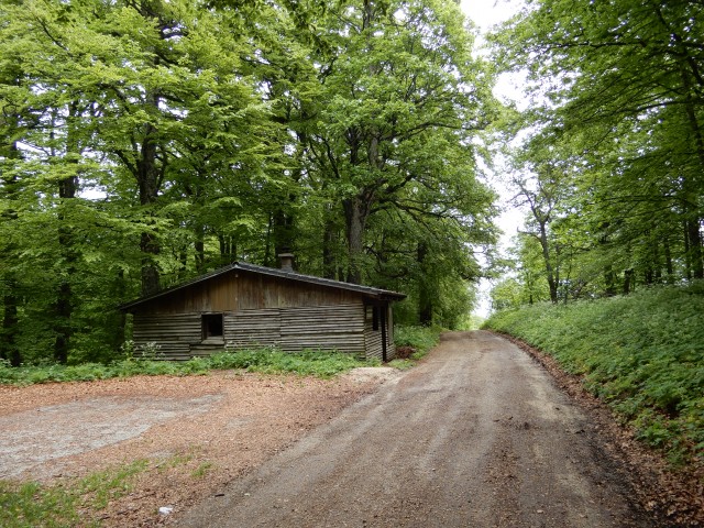 14. 5. 2018 - foto