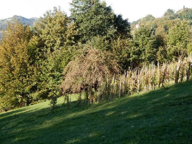 26. 9. 2018 - foto