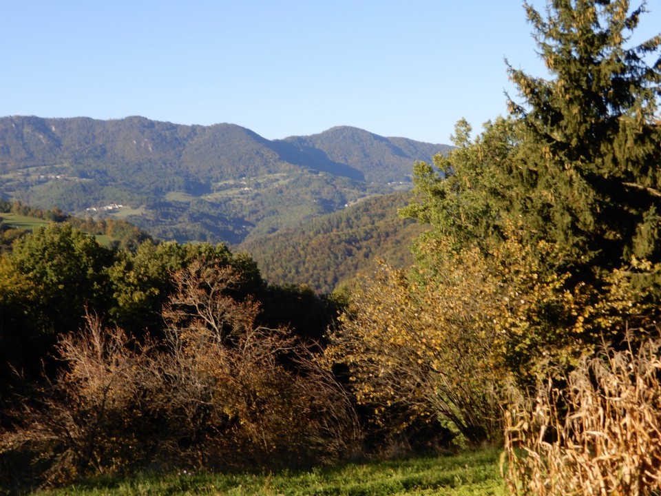 29. 9. 2018 - foto povečava