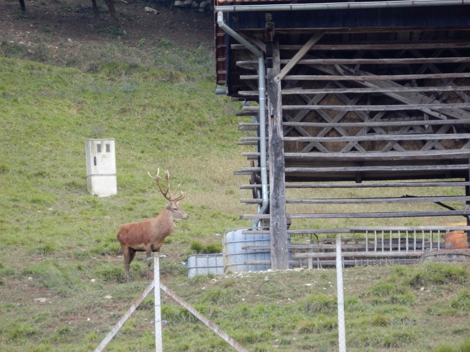 3. 10. 2018 - foto povečava