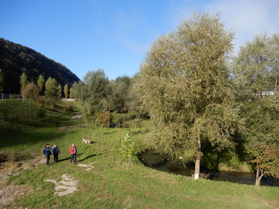 3. 10. 2018 - foto povečava