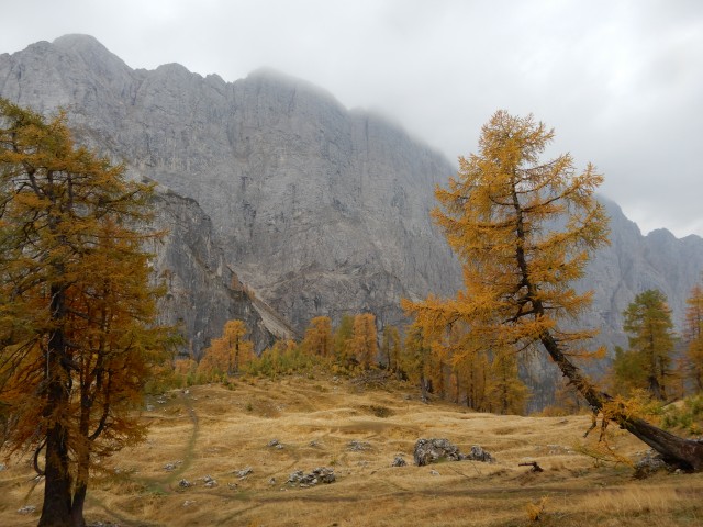 15. 10. 2018 - foto