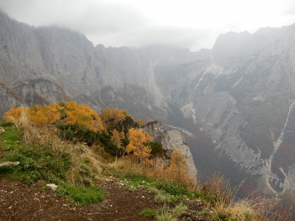 15. 10. 2018 - foto povečava