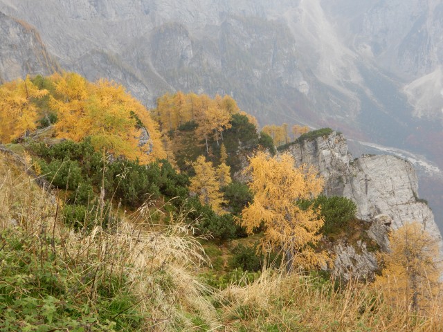 15. 10. 2018 - foto