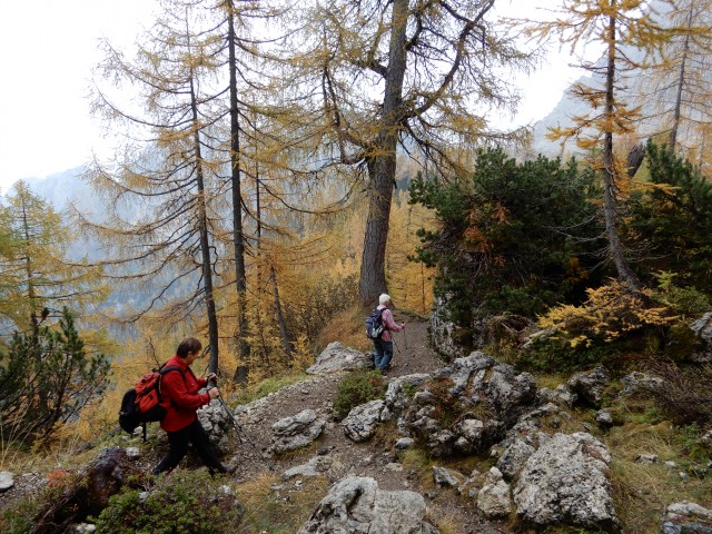 15. 10. 2018 - foto