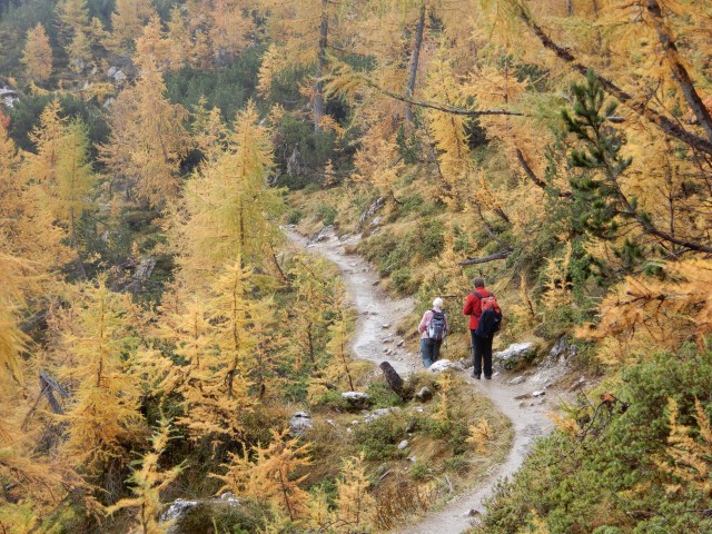15. 10. 2018 - foto