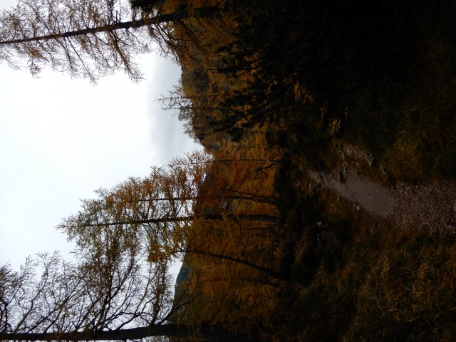 15. 10. 2018 - foto
