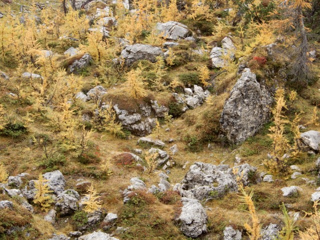 15. 10. 2018 - foto
