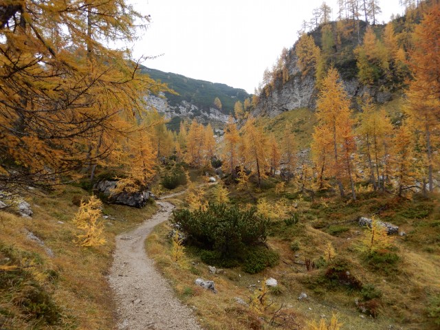 15. 10. 2018 - foto