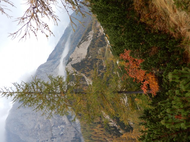 15. 10. 2018 - foto