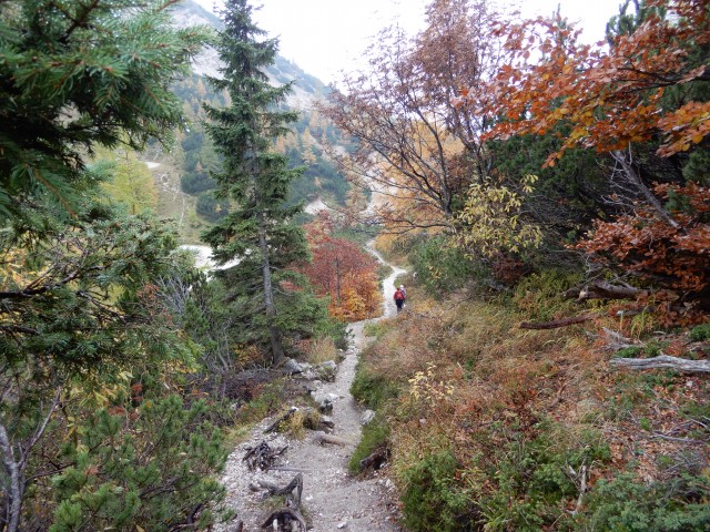 15. 10. 2018 - foto