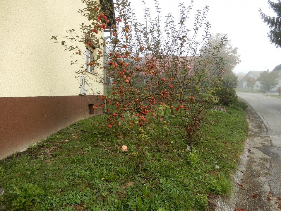 17. 10. 2018 - foto povečava