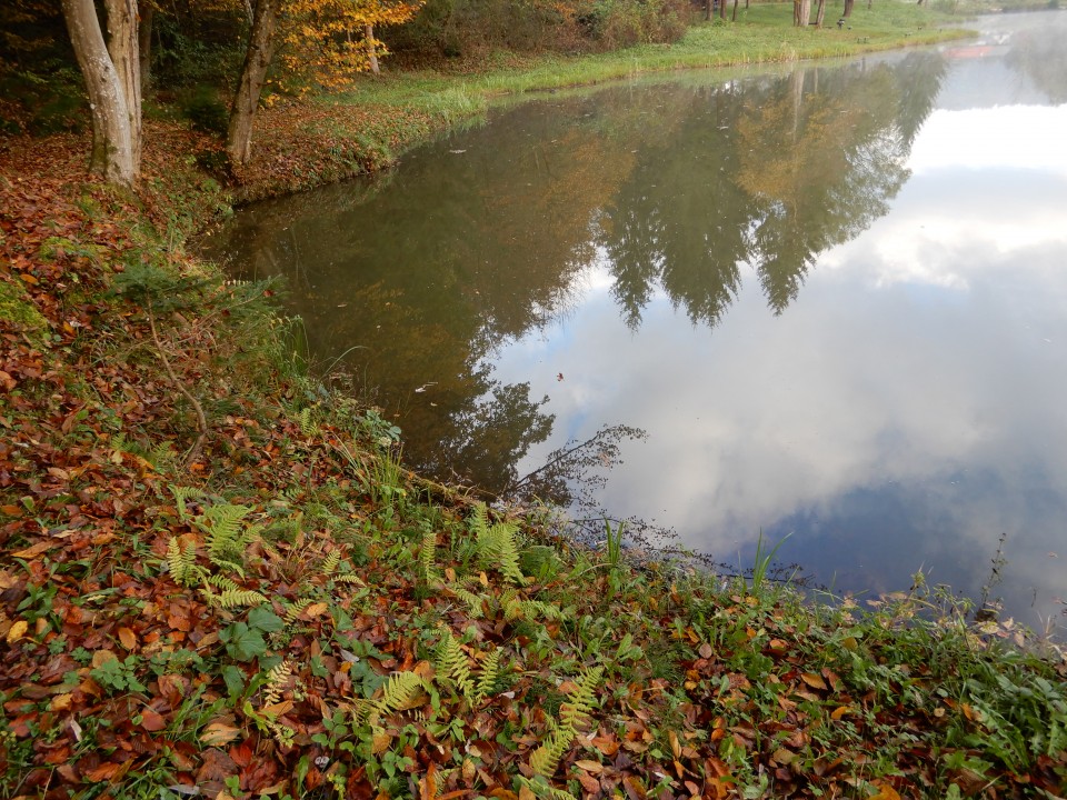 24. 10. 2018 - foto povečava