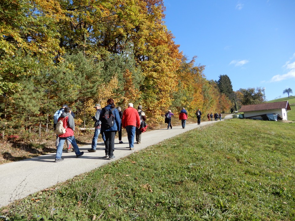 24. 10. 2018 - foto povečava