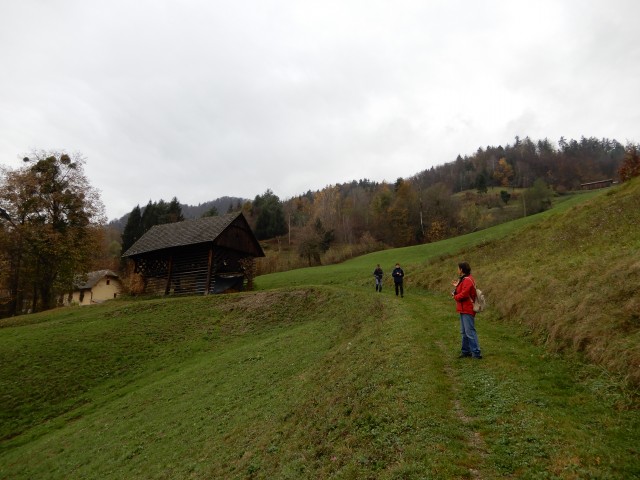 14. 11. 2018 - foto