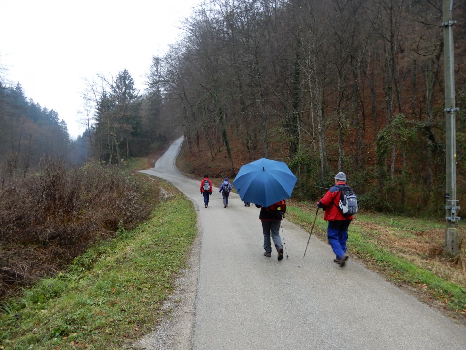 19. 11. 2018 - foto povečava