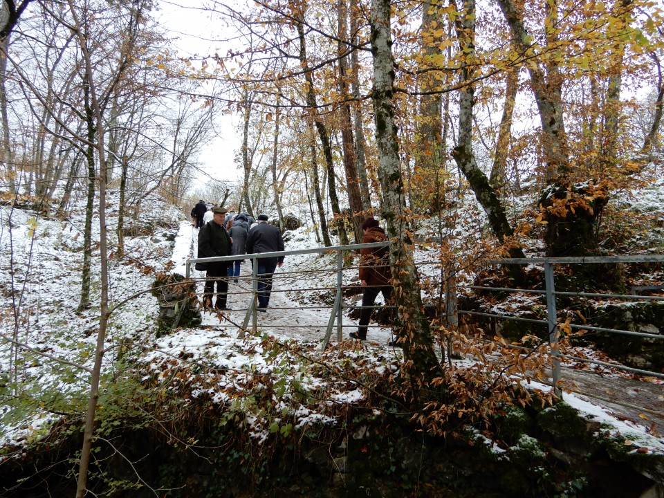 20. 11. 2018 - foto povečava