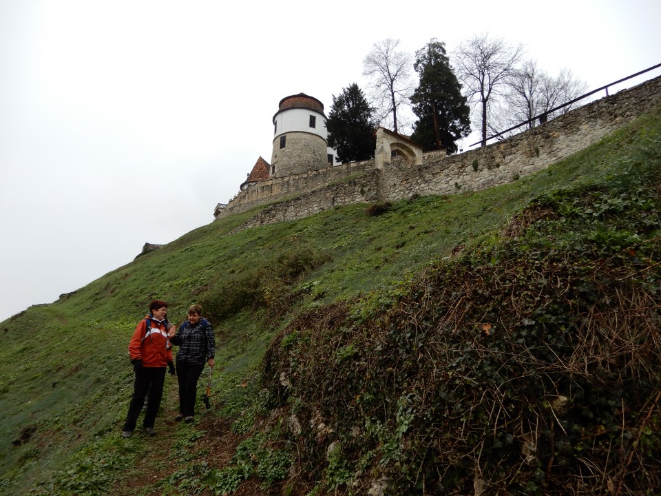 21. 11. 2018 - foto povečava