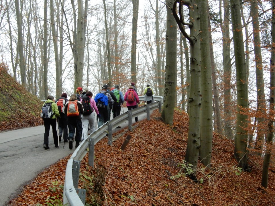 24. 11. 2018 - foto povečava