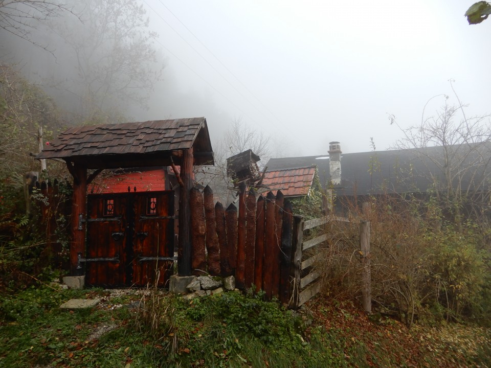 24. 11. 2018 - foto povečava