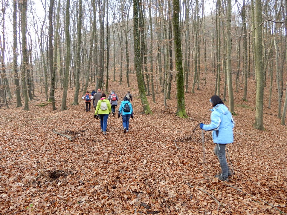 12. 12. 2018 - foto povečava